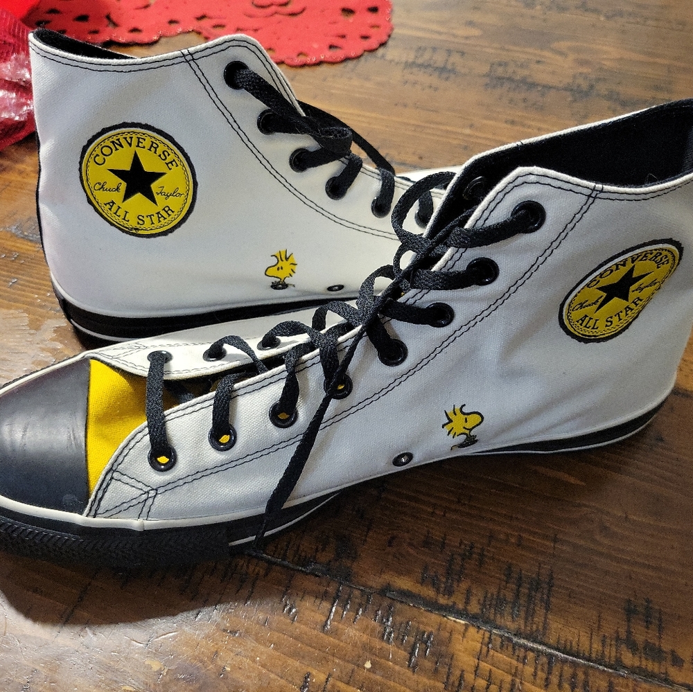 Custom Converse Chuck Taylor